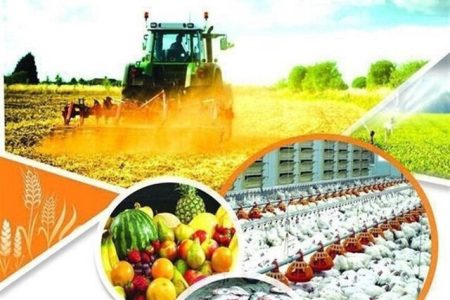 ایجاد و احداث ۵۴ طرح شاخص کشاورزی در همدان