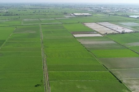 تثبیت ۷۲۰ هزار هکتار از اراضی کشاورزی استان/ رفع تداخلات پلاک‌های استان تا پایان سال به اتمام می‌رسد