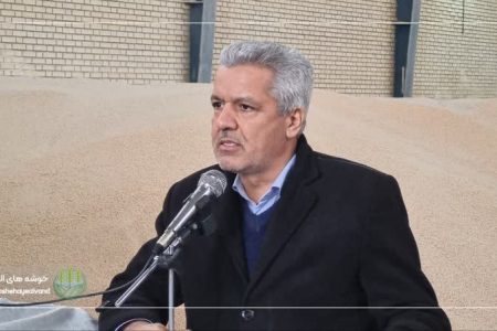 رفع تداخل ۸۱ درصد از پلاک‌های کشاورزی استان همدان