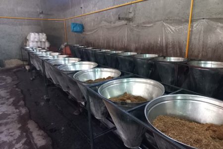 کشف کارگاه غیر مجاز تولید شیره انگور در یکی از روستاهای همدان