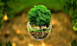 همه با هم برای حفظ “محیط زیست” + اینفوگرافیک