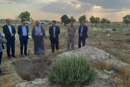 احیای ۵۰۰ هکتار اراضی بیابانی در استان