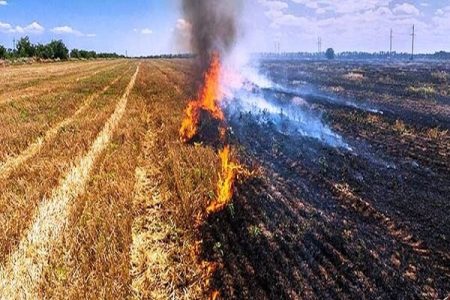 سوزاندن بقایای گیاهی اراضی کشاورزی غیرقانونی است