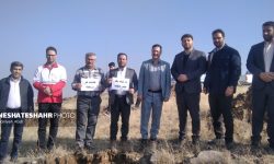 آغاز پویش نهال کاری فاز دوم، طرح مردمی کاشت یک میلیارد درخت در بهار