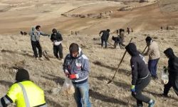 اجرای کپه کاری در 100 هکتار از مراتع روستای باباعلی شهرستان بهار