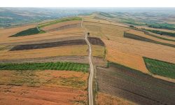 جهش تولید در دیمزارها، گامی در جهت امنیت غذایی کشور