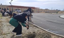 برگزاری پویش “نهال دانایی” در استان به مناسبت روز دانشجو