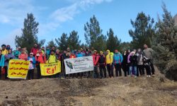 برگزاری پویش نهال کاری ” کوهساران سبز” در استان