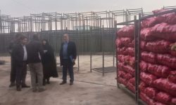 انبارهای سیب زمینی در نظارت گشت‌های مشترک تعزیرات حکومتی همدان