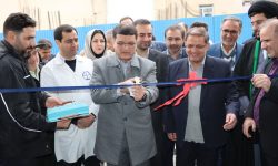 طرح توسعه شرکت داروسازی فاران شیمی تویسرکان افتتاح شد