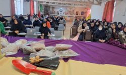 کلاس آموزشی همیار طبیعت در مدرسه فروغ همدان