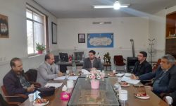 آغاز اجرای فاز اول بهسازی روستای آریکان تویسرکان