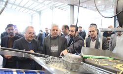 نخستین کارخانه فرنچ فرایز سیب‌زمینی در بهار به بهره‌برداری رسید