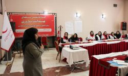 کارگاه تخصصی منطقه‌ای بهداشت باروری در همدان برگزار شد