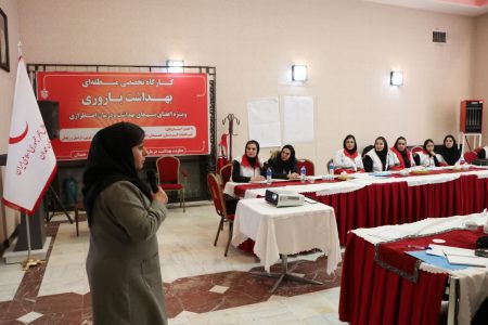 کارگاه تخصصی منطقه‌ای بهداشت باروری در همدان برگزار شد