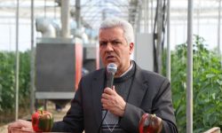 دو گلخانه سبزی و صیفی در شهرستان همدان به بهره‌برداری رسید