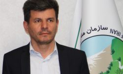 ۱۱ هزار هکتار از مراتع همدان در سال‌جاری قرق شد