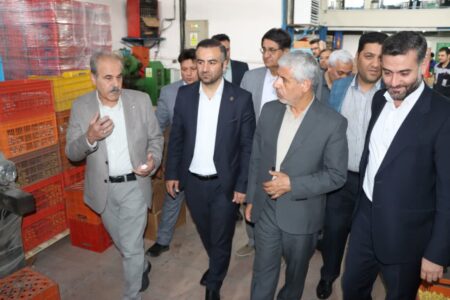 بازدید معاون قضایی دادستان کل کشور از شرکت پلمپین صنعت