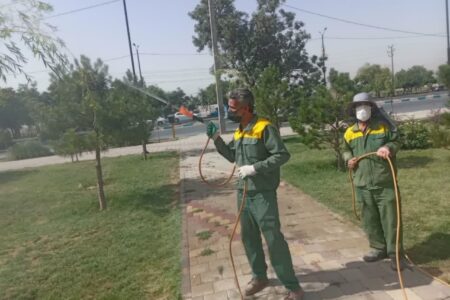 تقویت جلوه‌های بصری شهری با اجرای پروژه‌های فضای سبز و عمرانی در تیرماه ۱۴۰۴