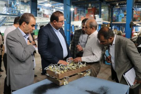 بازدید معاون وزیر صمت و مدیرکل صمت استان همدان از شرکت پلمپین صنعت