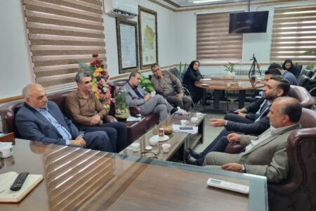 درگزین ظرفیت تبدیل‌شدن به قطب صنایع پایدار استان را دارد