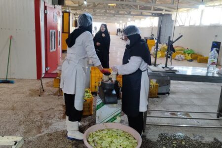 تأکید مدیرکل امور بانوان همدان بر افتتاح هرچه سریع‌تر بازارچه دائمی صنایع دستی ملایر