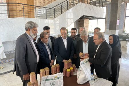 تعاونی‌ها در اجرای الگوی کشت نقش موثری دارند