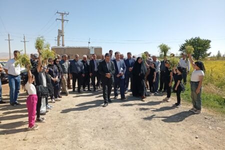 ششمین جشنواره برداشت رازیانه در رزن برگزار شد