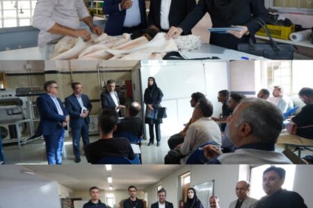 بازدید مدیرکل دفتر نظارت بهسازی و هدایت شغلی سازمان آموزش فنی‌و‌حرفه‌ای کشور از اردوی آماده‌سازی منتخبین مسابقات ملی مهارت همدان