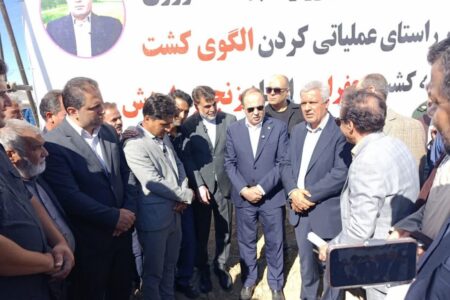 الگوی کشت در کبودراهنگ کلید خورد؛ سال زراعی ۱۴۰۴-۱۴۰۵ آغاز شد