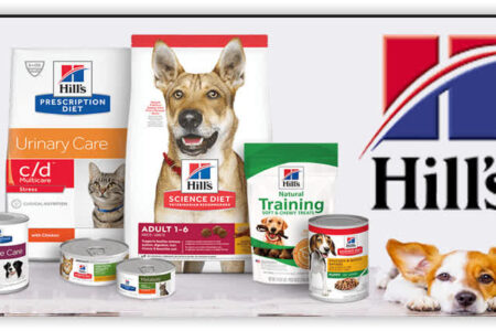 محکومیت یک‌میلیارد و 896 میلیون ریالی قاچاقچی غذای حیوانات در کبودراهنگ