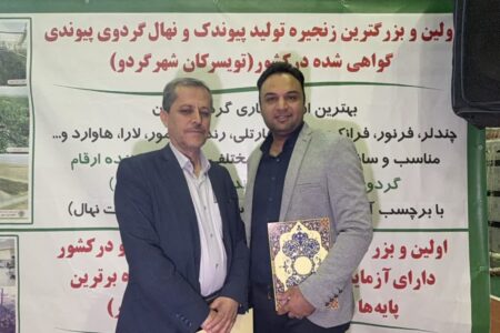 تجلیل از مدیر تعاون روستایی استان همدان در جشنواره ملی گردو