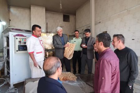 بازدید فرماندار تویسرکان از نانوایی‌های سطح شهرستان