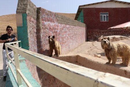 تخفيف ۵۰ درصدی بازديد از باغ وحش علیصدر