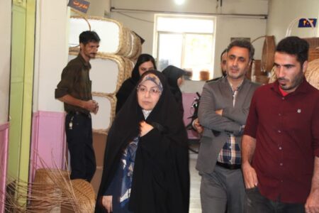 اختصاص ردیف اعتباری ویژه زنان روستایی و عشایری/هدفگذاری ایجاد ۵۰۰ روستا بازار