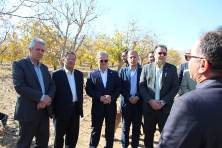 بحران کم‌آبی و آفت گردو تویسرکان را تهدید می‌کند