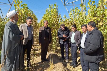 بازدید معاون مسئول حوزه نمایندگی ولی‌فقیه در سازمان منابع طبیعی کشور از منابع طبیعی استان همدان