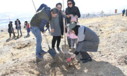 ۲هزار نهال به نام و یاد مادران استان همدان غرس می‌شود