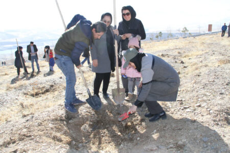 ۲هزار نهال به نام و یاد مادران استان همدان غرس می‌شود