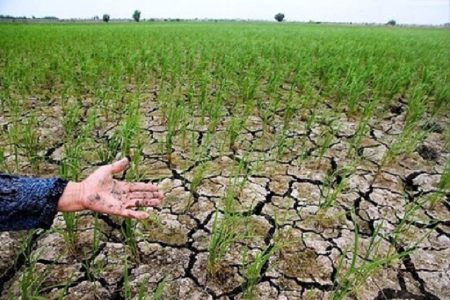 خسارت ۱۰۸ هزار میلیارد ریالی حوادث غیرمترقبه به محصولات کشاورزی استان