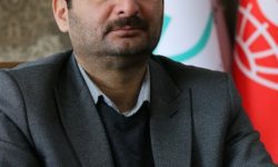 ابطال ۶۹ پروانه استاندارد در همدان؛ هزار نمونه‌برداری و صدور ۱۶۶ گواهی صادراتی برای کشمش