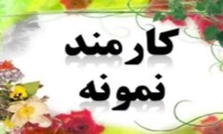 کارمند اداره گاز رزن نمونه شد