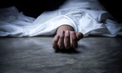 کودک ۳ ساله در کبودراهنگ بر اثر گزش روباه هار جان باخت/ هشدارهای پزشکی قانونی همدان