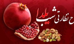 آغاز طرح نظارتی تعزیرات حکومتی ویژه بازار شب یلدا