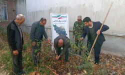 پویش نهال زندگی به مناسبت روز جهانی معلولین در نهاوند