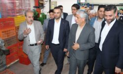 بازدید معاون قضایی دادستان کل کشور از شرکت پلمپین صنعت