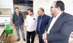 حمایت از صنایع‌دستی؛ ضرورتی برای حفظ میراث فرهنگی و توسعه اشتغال پایدار