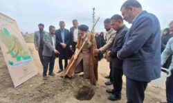 برگزاری پویش درختکاری “ایران بهشت” در همدان
