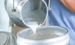 ملایر به عنوان قطب تولید شیر استان همدان تثبیت شد