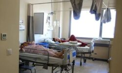 بیش از ۵۰ درصد شهدا و مجروحان استان همدان، بانوان و افراد غیرنظامی‌اند